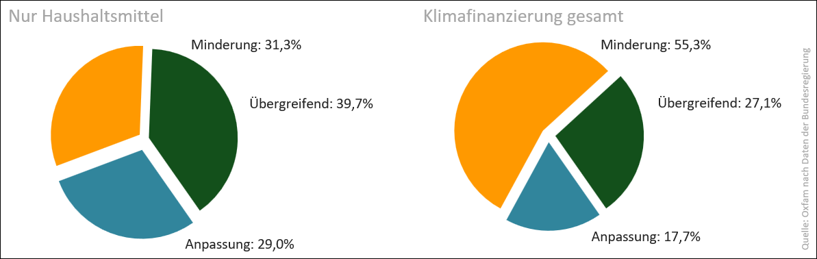 Abb. 5: Klimafinanzierung 2025 nach thematischem Fokus